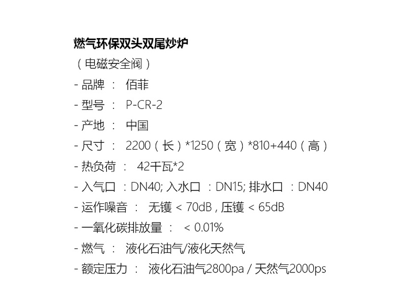 燃气环保双头双尾炒灶.jpg